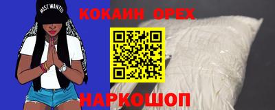 амф Сланцы