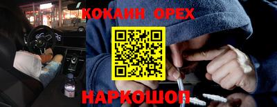 амф Сланцы