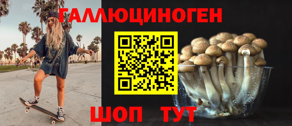 Новокубанск  Псилоцибиновые грибы мицелий  Псилоцибиновые грибы Psilocybine cubensis  Вход с VPN 